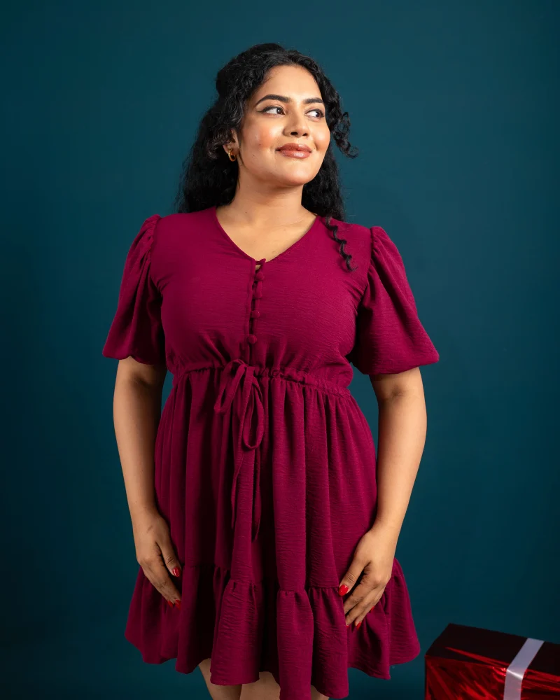 Festive Elegance Flare Dress - Image 3